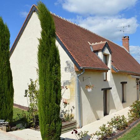 Les Gites De La Chapiniere Châteauvieux 外观 照片