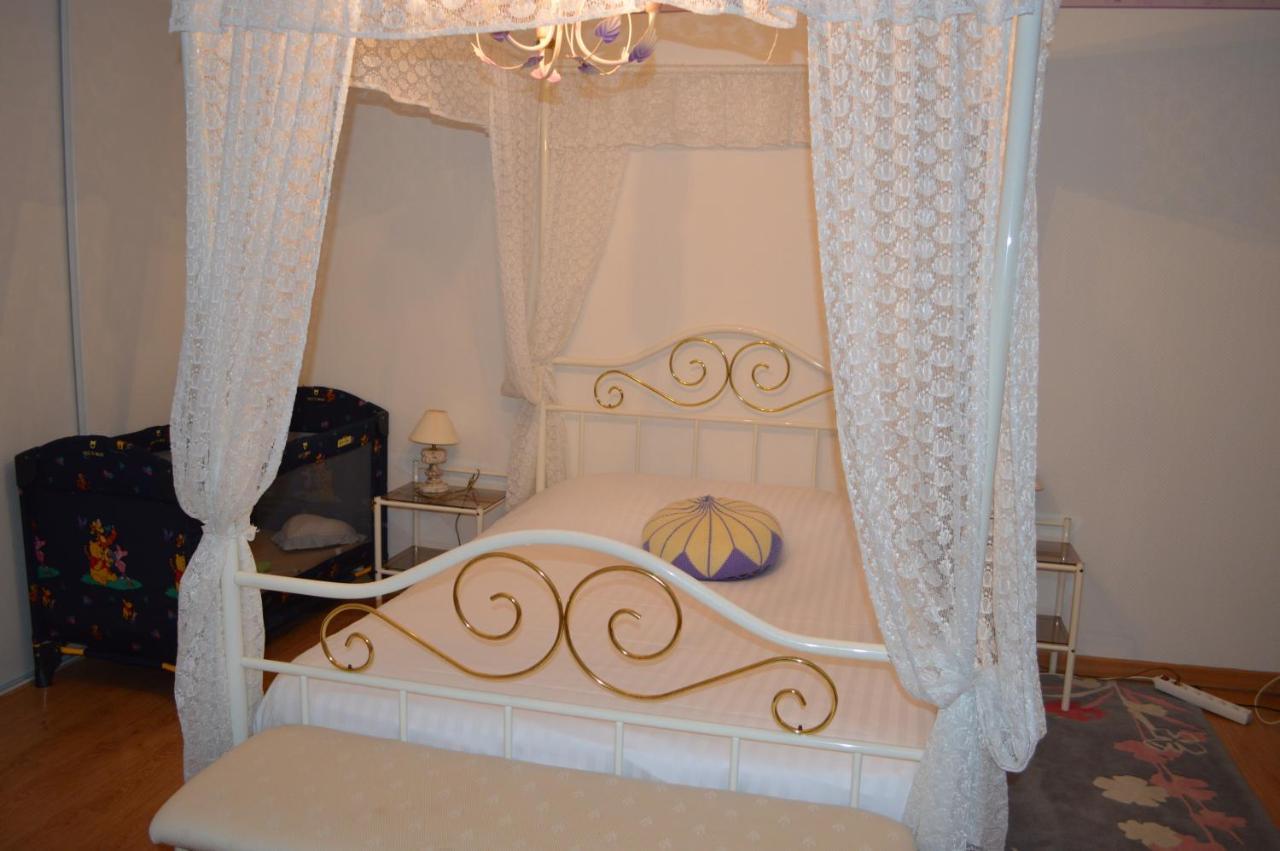 Les Gites De La Chapiniere Châteauvieux 外观 照片